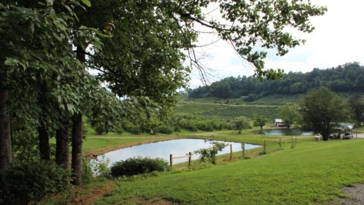 Hendersonville Apartment | The Orchard Suite: Serenity in nature