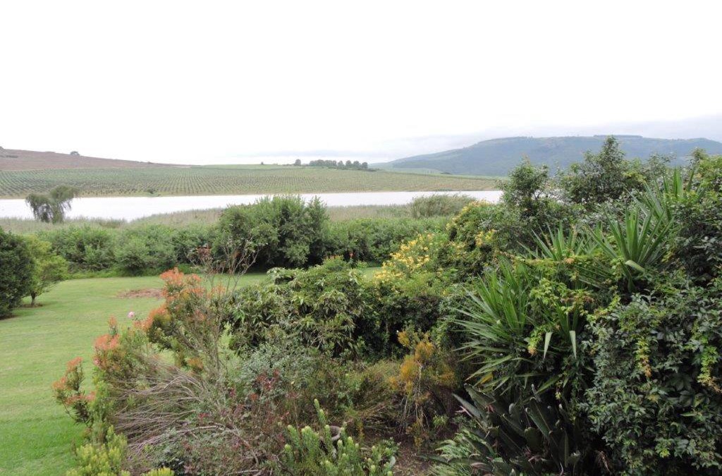 Camperdown Bed & Breakfast | The Owl House