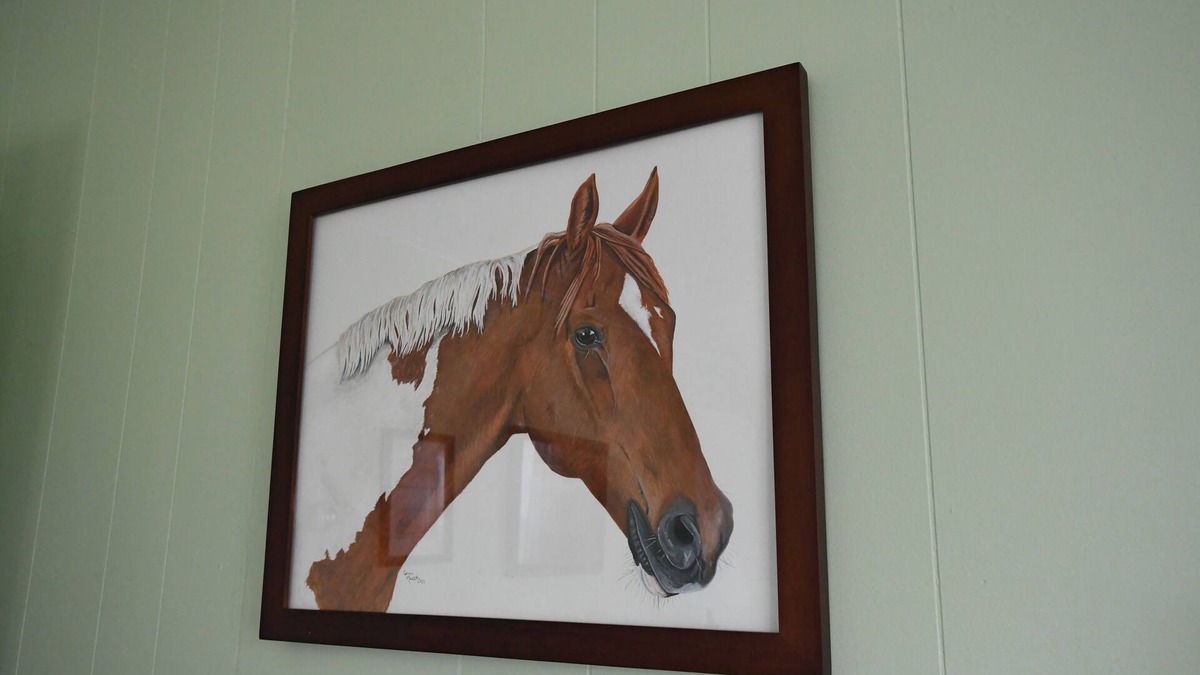 Geneseo House | The Painted Pony Cottage at LegUp Stables. Vacation with a Horse!