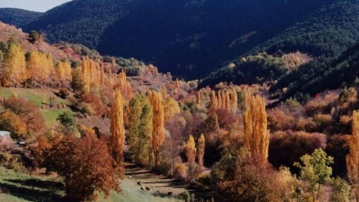 Llagunes Cottage | The pallé de cal bosch, spacious rural apartment with magnificent views, Pyrenees