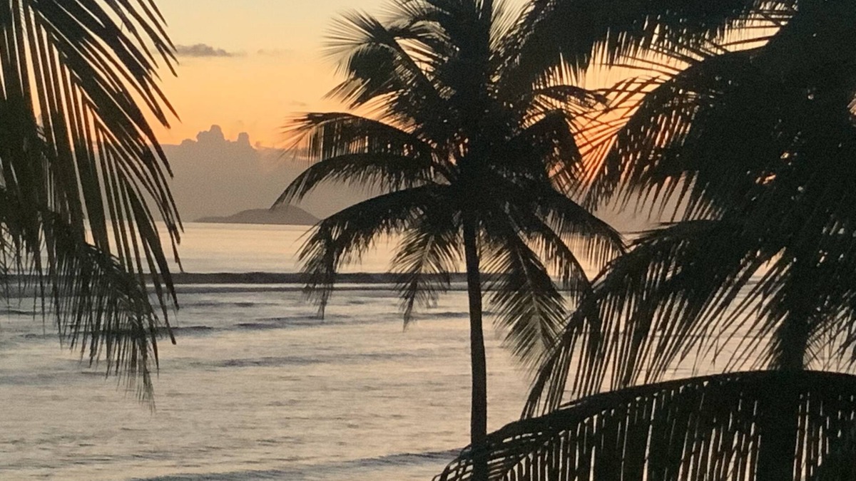 La Grande Princesse Resort | The Palms at Pelican Cove