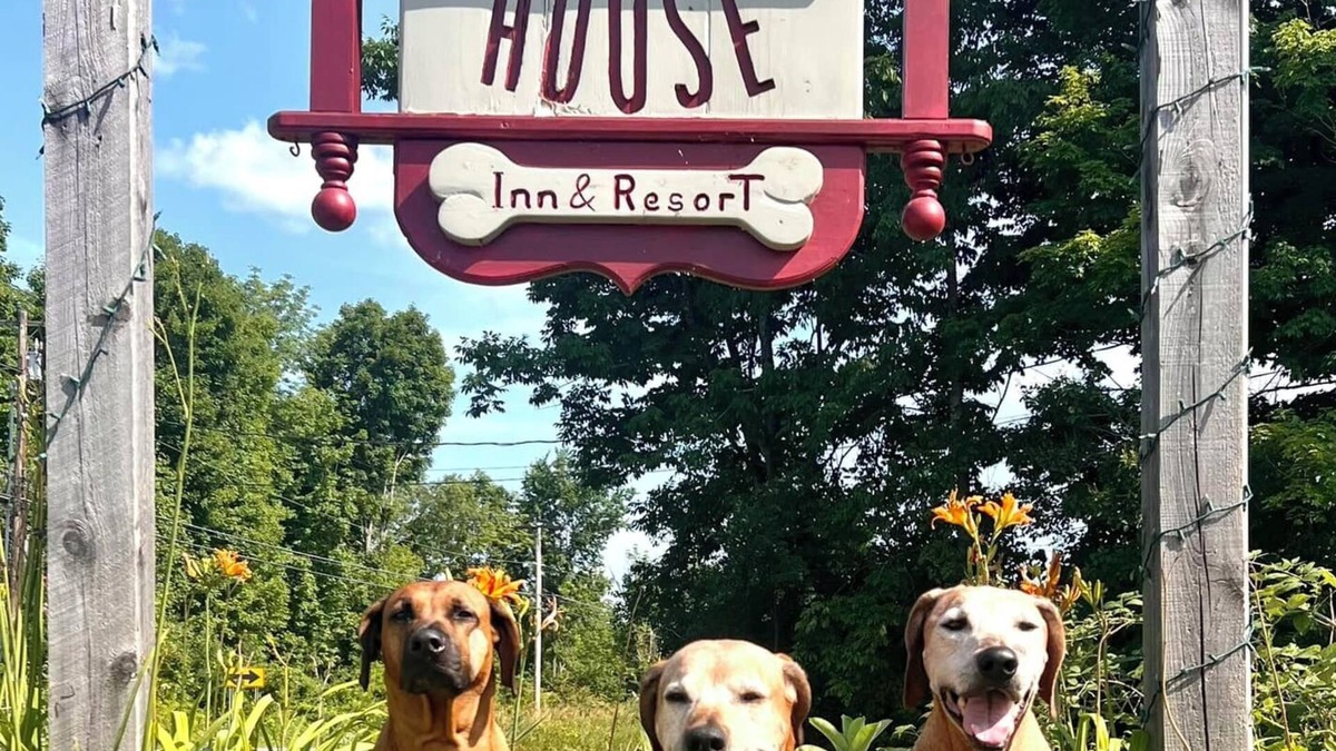 West Rutland Cottage | The Paw House Inn & Country Cottages