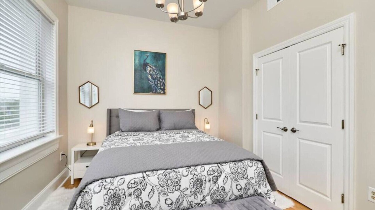 Grand Center Apartment | The Peacock Room,1 bd 1 ba, SLU, Grand Center, CWE- Apt E