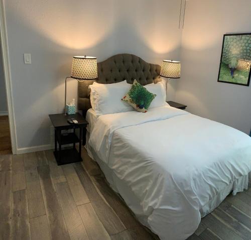 Medical Center District House | The Peahen House