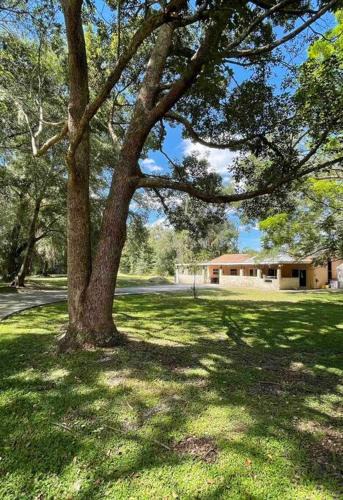 Apopka Villa | The Piano House