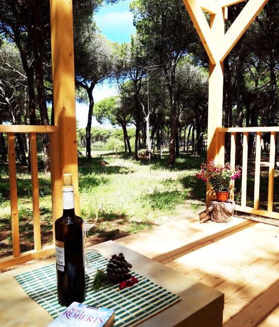 Los Gallos-Cerromolino House | The PineForest Cabin