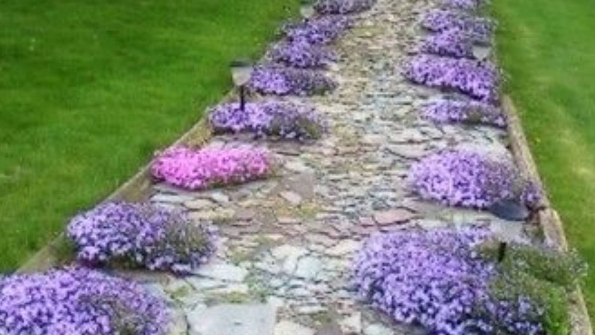 Dresden Bed & Breakfast | The Pines of Dresden B&B