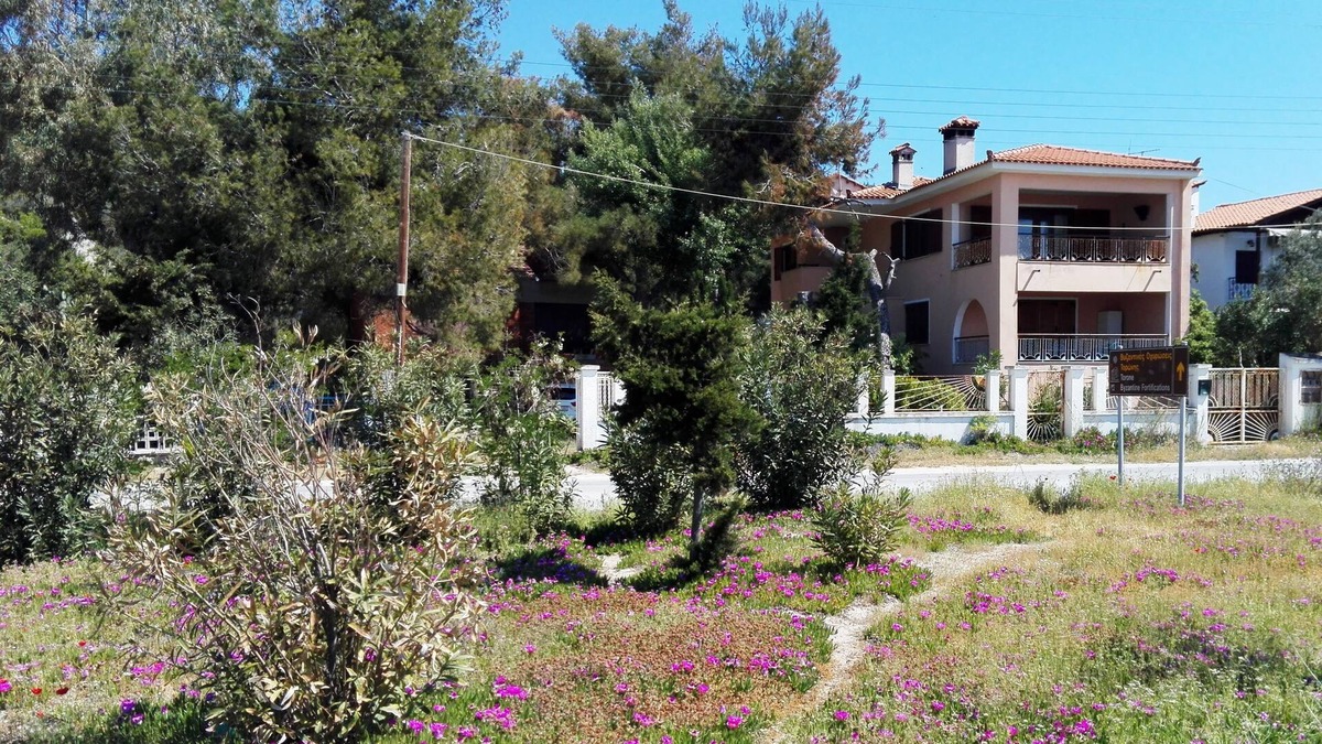 Toroni Apartment | The Pink Oleander House on the beach with a spectacular view - 6 persons