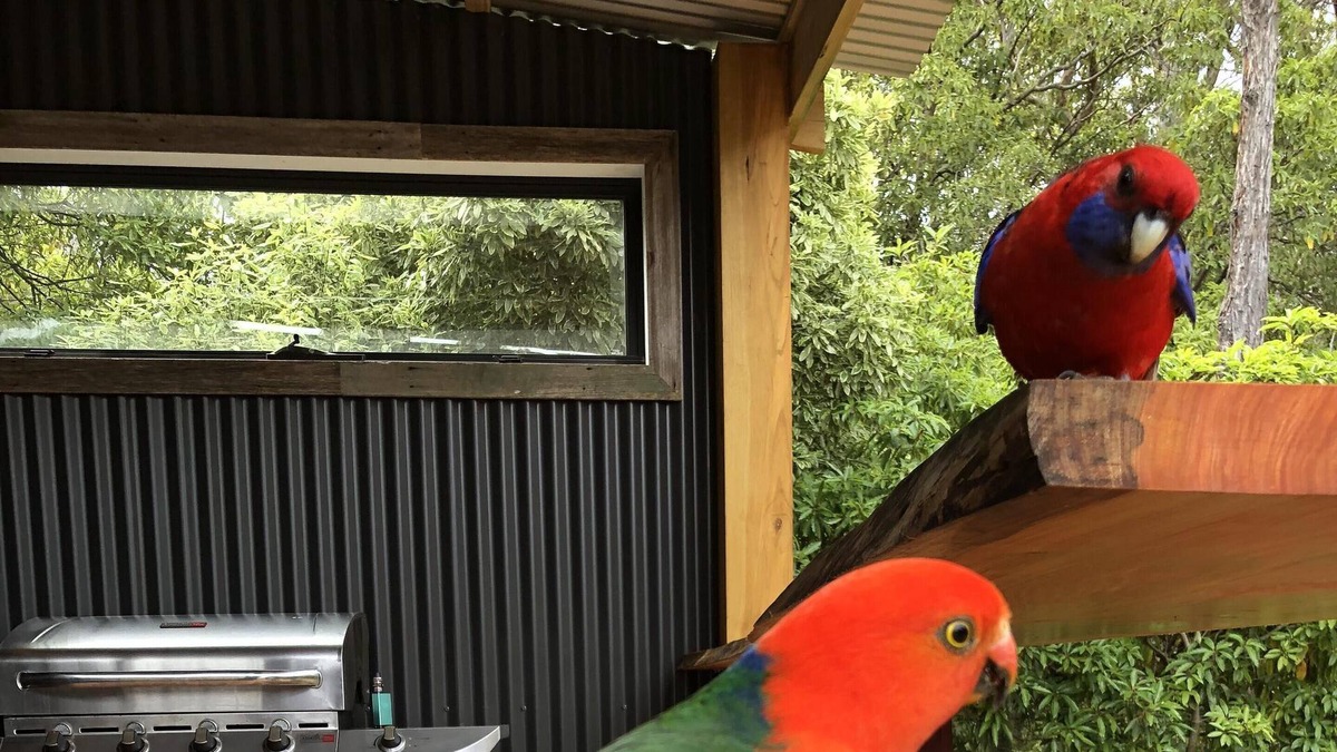 Coongulla House | THE PLACE TO BE FOR AN AWESOME HOLIDAY AT LAKE GLENMAGGIE. 5 mins from the lake