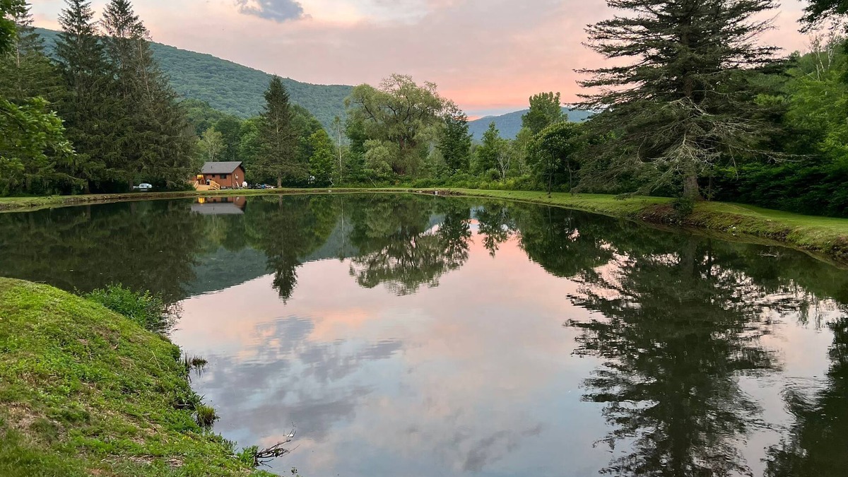 Pine Hill House | The Pond House ~ 5 Min to Belleayre ~ Outdoor Fun