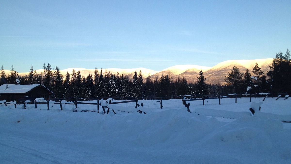 Whitefish Cabin | The Quiet Cabin-on A Meadow Surrounded By Forest Near Whitefish & Glacier Park