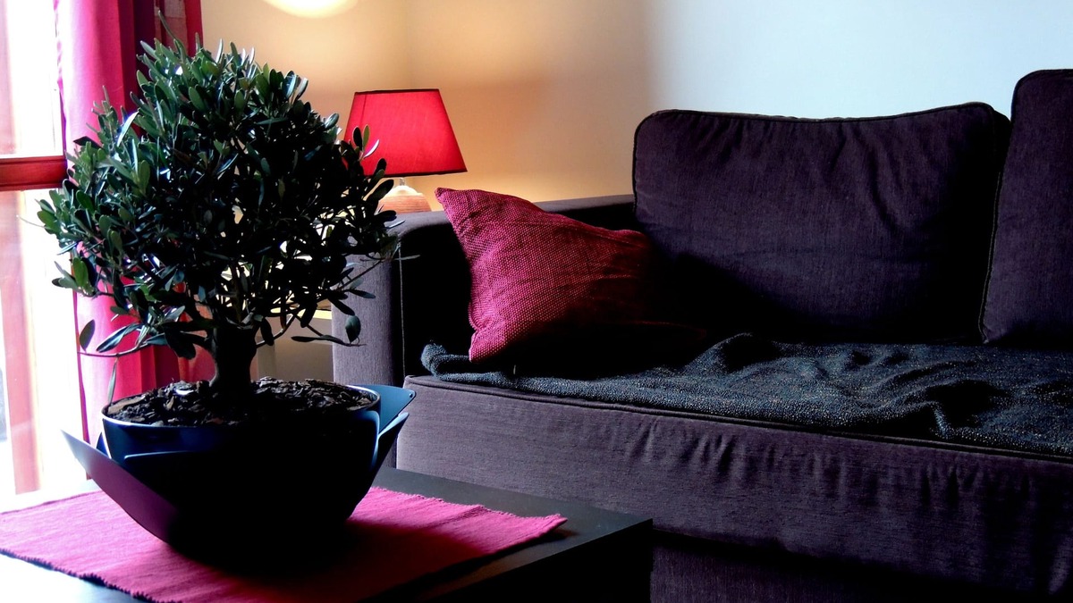 Zafferana Etnea Apartment | "The Red and the Black" Apartment on the main street of Zafferana