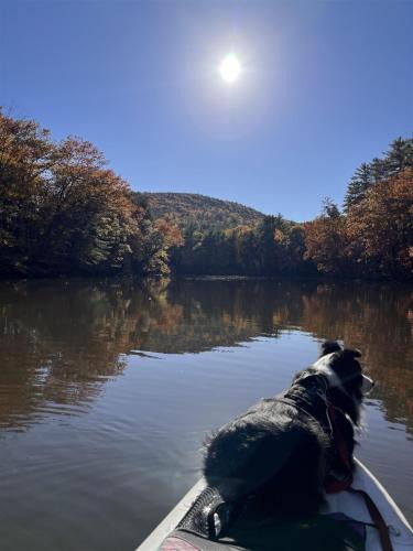Hiram House | THE RIVER HOUSE LIMIT 6 home