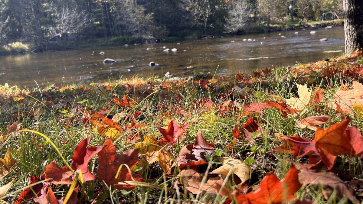 Suring Cottage | The Rivers Edge Cottage! ATV-UTV-Snowmobiling right out your front door!