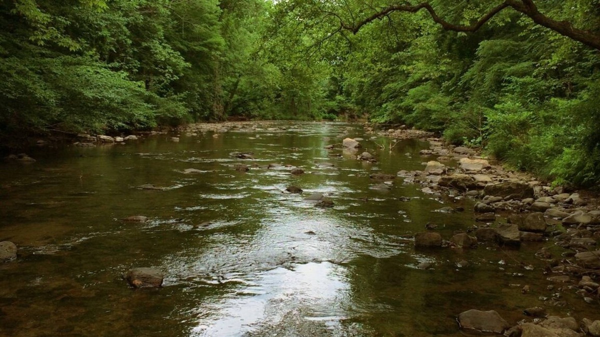 Glace Cabin | The Rock Great Secluded Cabin for Fishing Hiking Swimming on 200 Acres