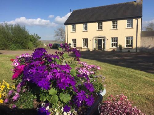 Crumlin Bed & Breakfast | The Rocks B&B