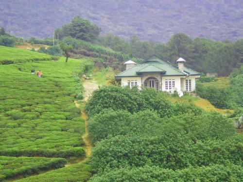Nuwara Eliya Bed & Breakfast | The Royal Terrace Holiday Bungalow