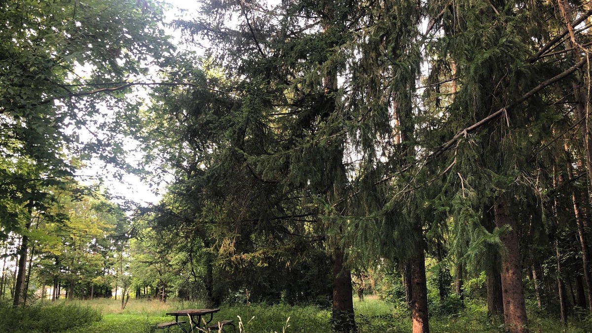 Delaware Cabin | The Rustic Side