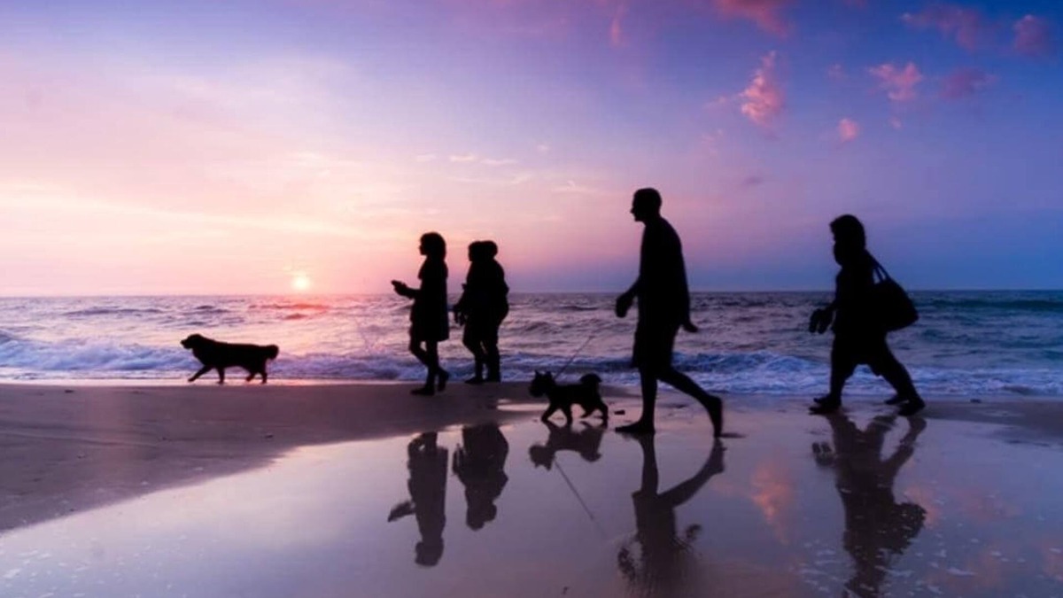 Belmont Shore Apartment | The Sanddollar:Beach~2nd St~Washer/Dryer~Pets OK