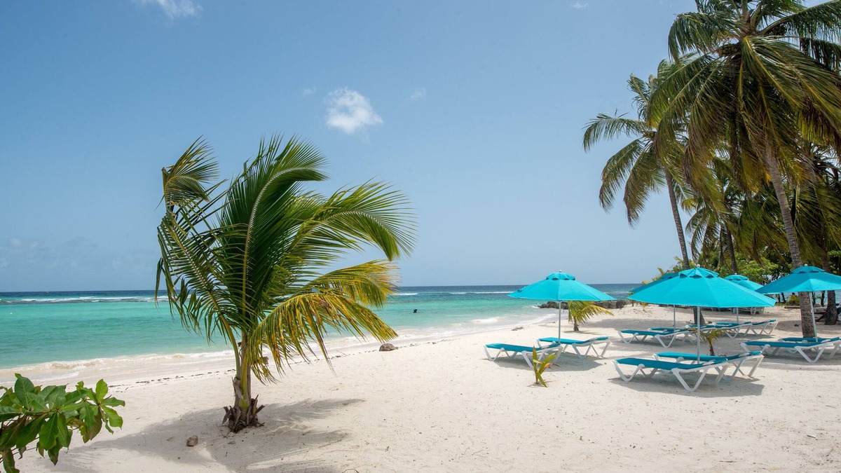 Saint Lawrence Hotel | The Sands Barbados All Inclusive