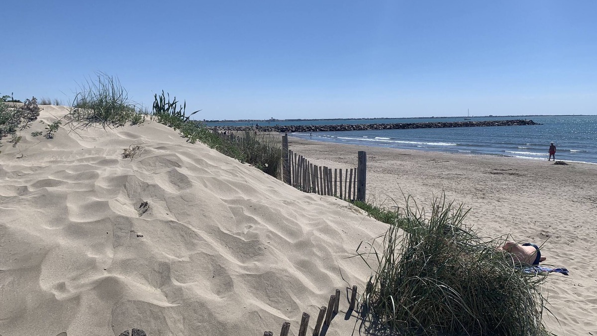 Montpellier Apartment | The Sea and the Beach at the end of the garden 4-bed apartment with terrace and garden