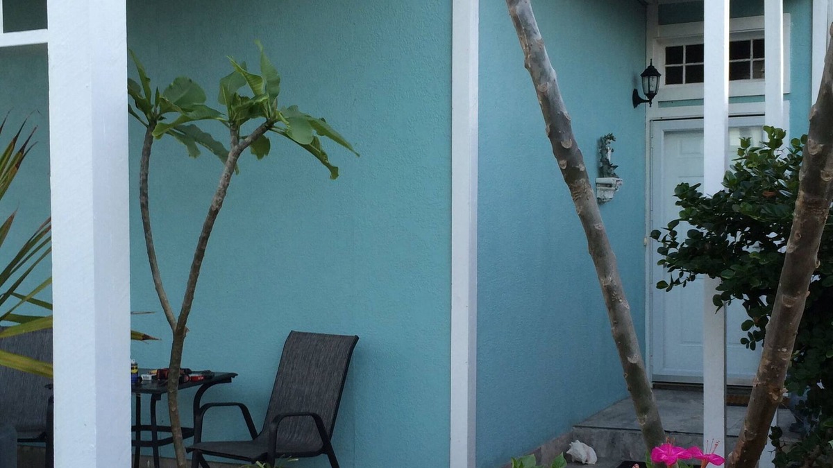 Galveston House | The Seashell House - Luxurious Comfort And Affordability 276 steps to the beach
