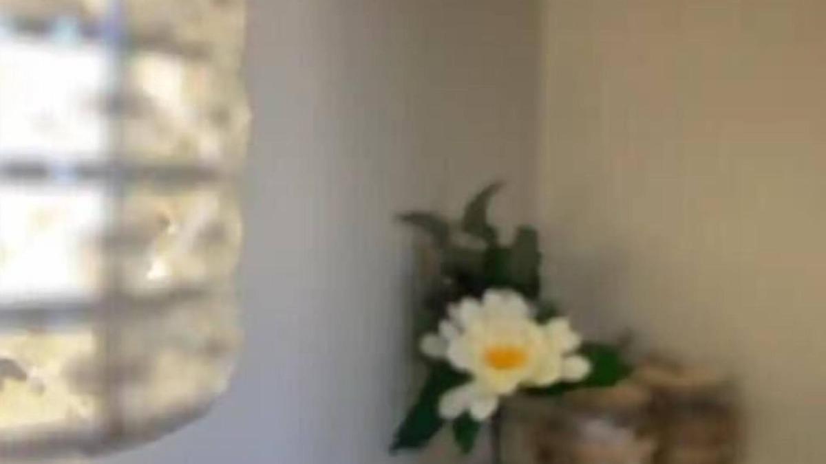 Yellow Springs Apartment | The Serling