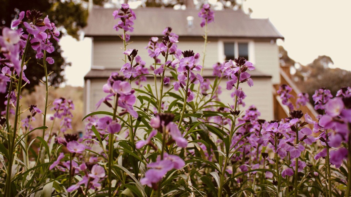 Whanganui Apartment | The Signal Box-Riverside Accommodation