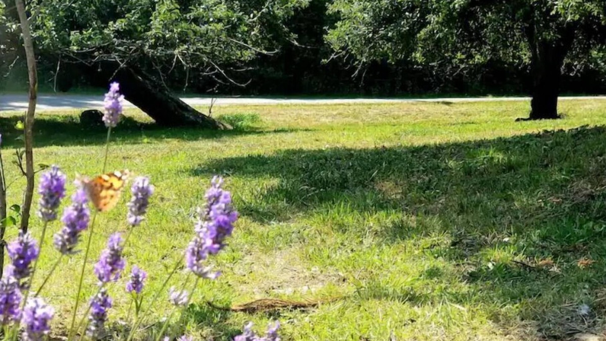 Port Angeles East RV Rental | The Simple Life - camp space w/wi-fi & flexibility