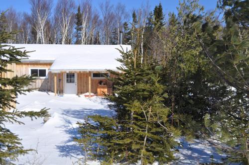 Birch Plain Cabin | The Sleeping Moose Cottage
