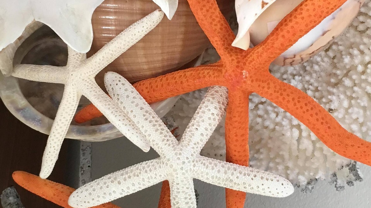 Old Towne Cottage | The Starfish Cottage" Steps to the Ocean. 🌊🏖️. 🌀SUMMER FUN 🌀RELAX & ENJOY 😎