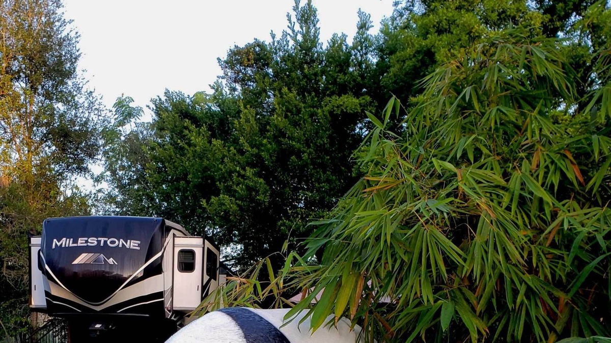 Dade City House | The Sweet Panda, The perfect getaway