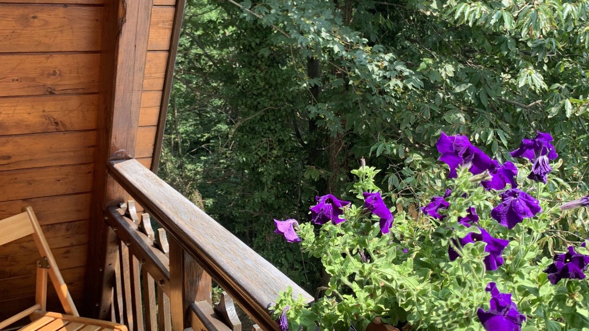 Roccapietra Ski Chalet | The Taragn detached chalet