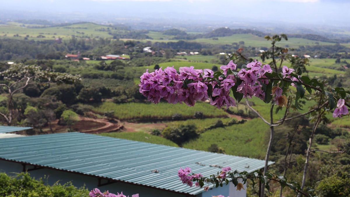 Puente de Piedra Cabin | The Toucan - Cozy Mountain Cabin, Stunning Views, Private & Quiet in Costa Rica