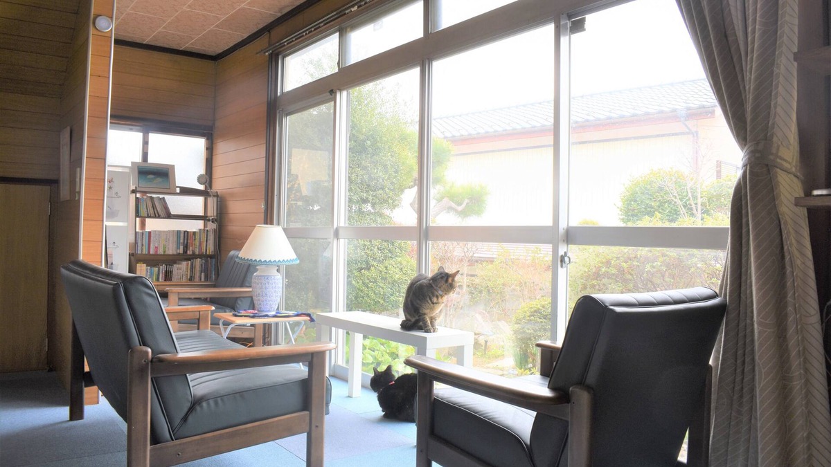 Isinomaki House | The Traditional Japanese house with cats. Cat house