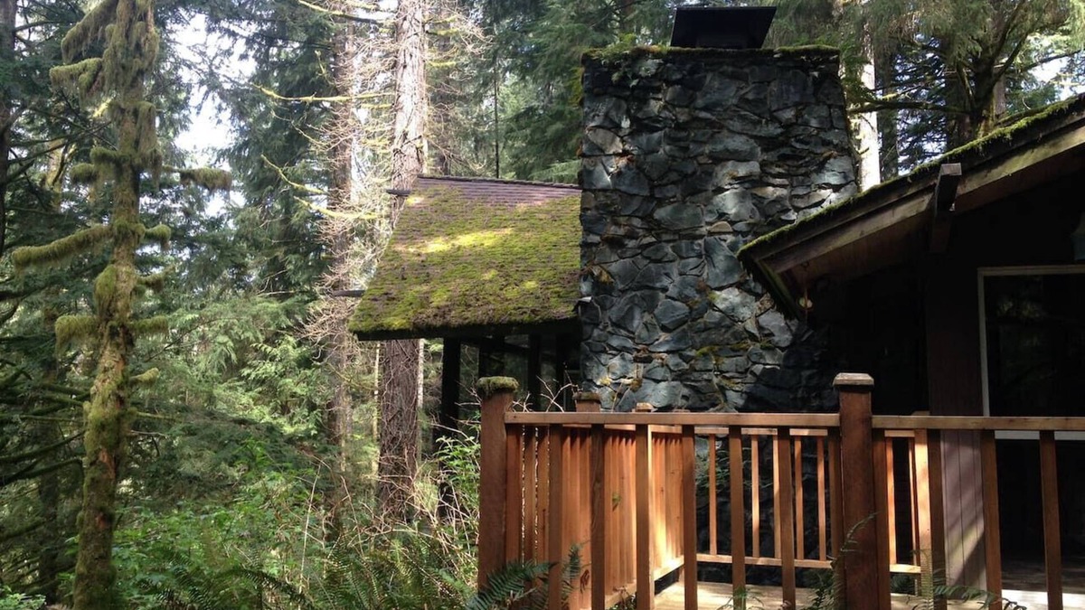 North Bend Cabin | The Treehouse; cabin in the woods, close to town!