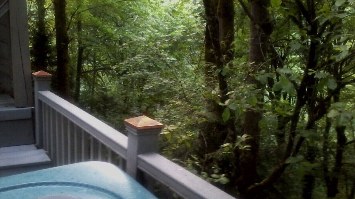 Hidden Springs Apartment | The TreeHouse Too - 2 BR Attached In-Law Flat/Apt. w/Spa & Mucho Amenities .