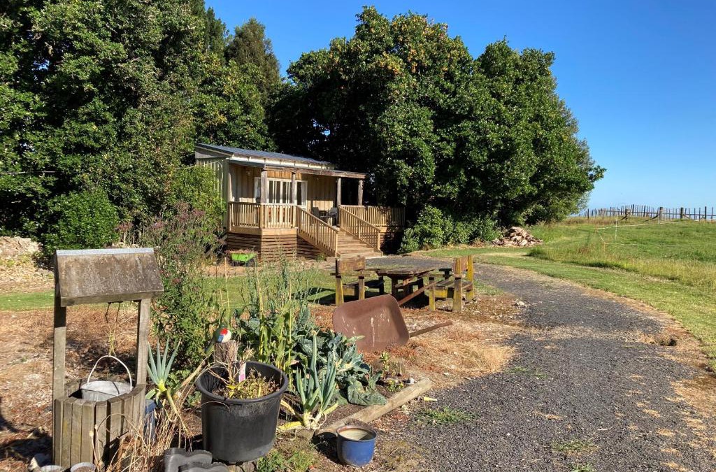 Ohauiti House | The Treehut
