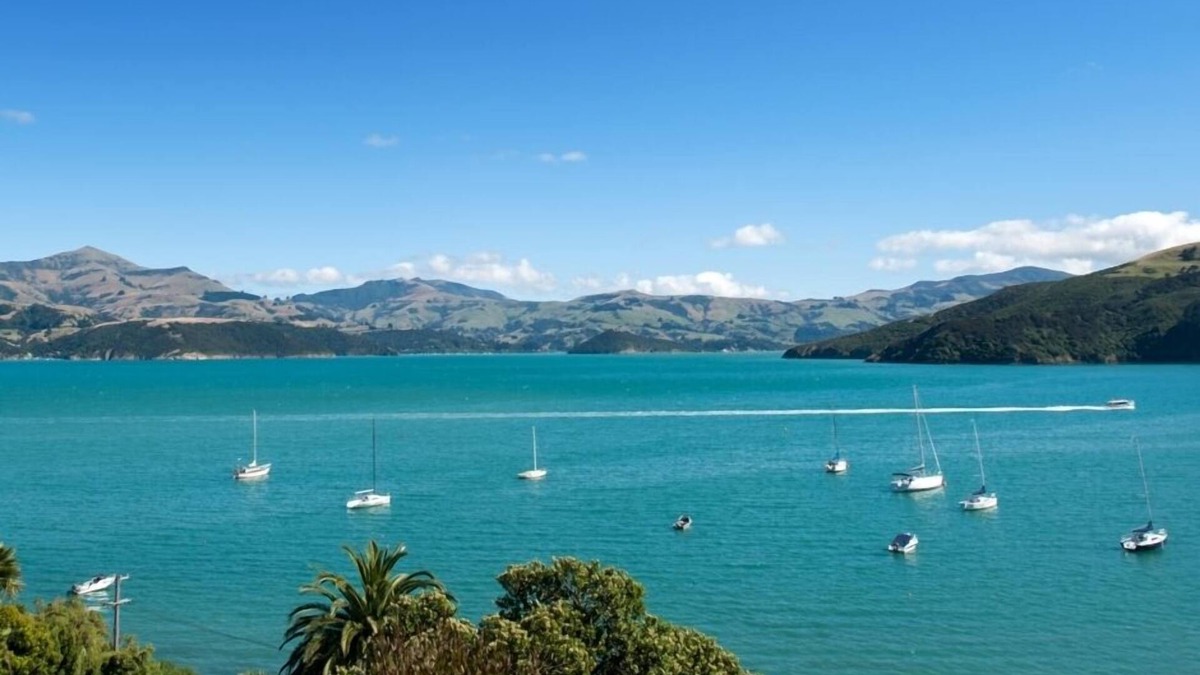Akaroa House | The Treehut: perched in the Bush with bird song