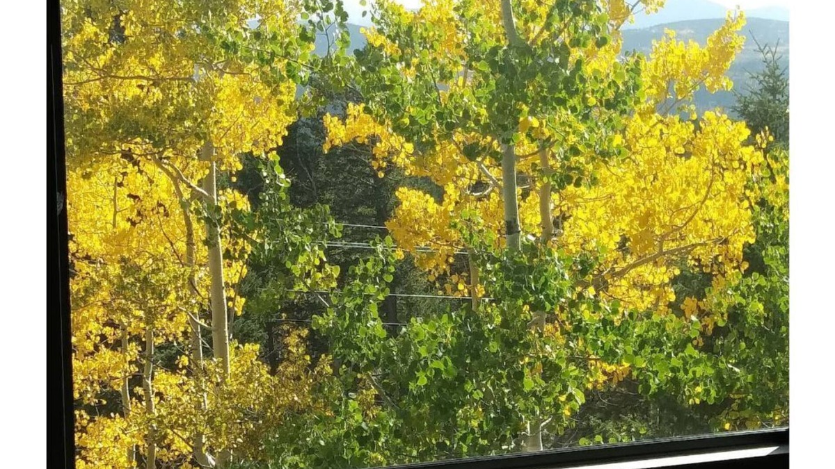 Black Hawk Ski Chalet | The Treetop Lodge at Black Hawk - MOUNTAINS! Everywhere You Look!