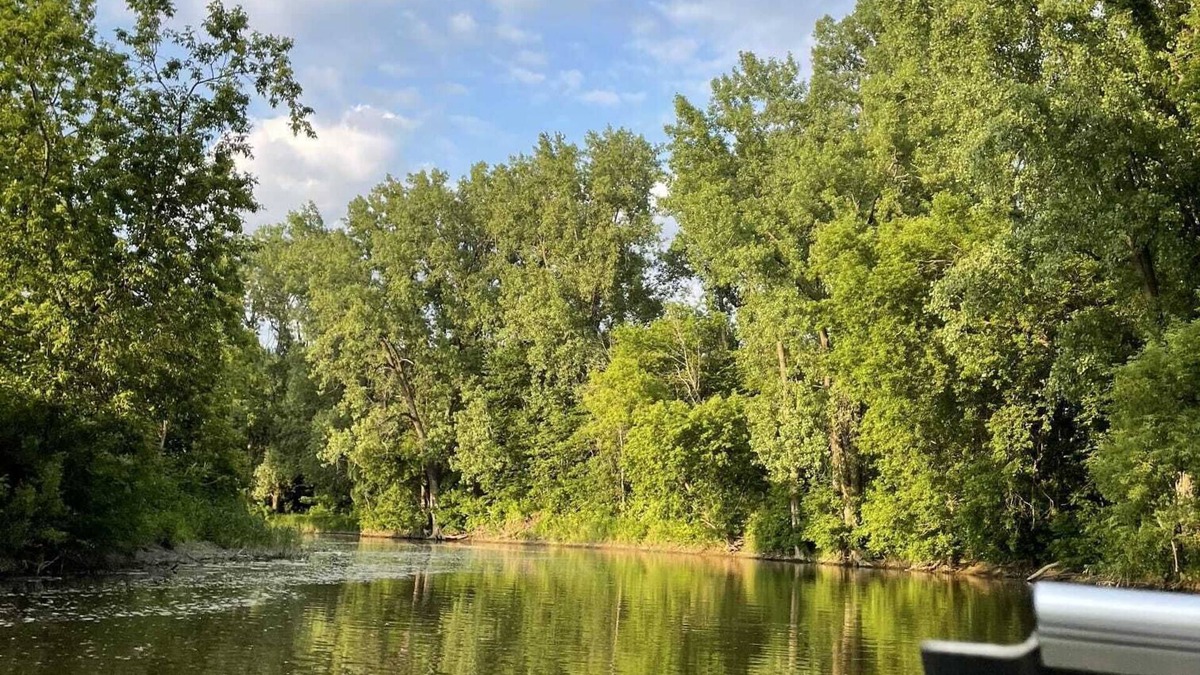 Chambly Apartment | The Tropical Refuge| Waterfront appartment (Chambly)