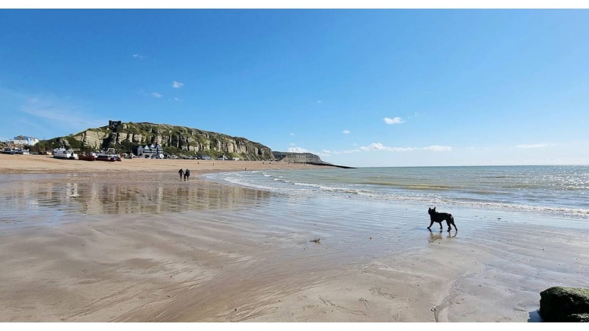 Old Town Hastings House | The Tuck Away, Central & Spacious with Parking