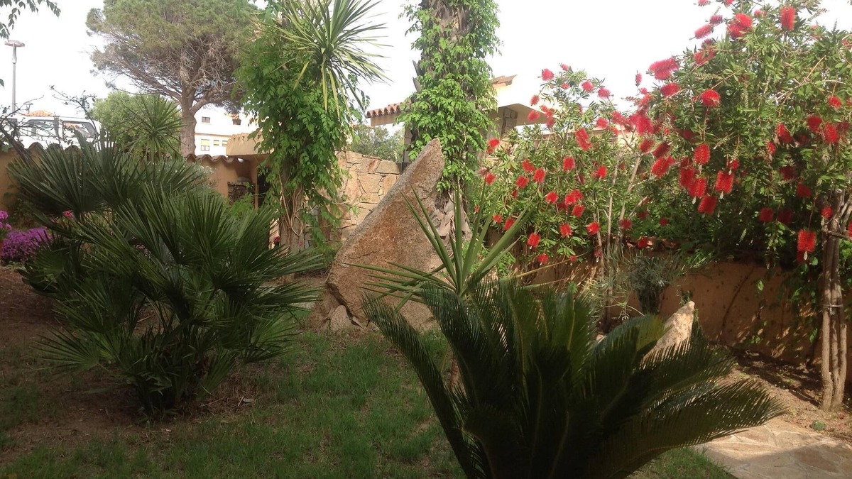 Siniscola House | The two palms from Angelo the cove n2