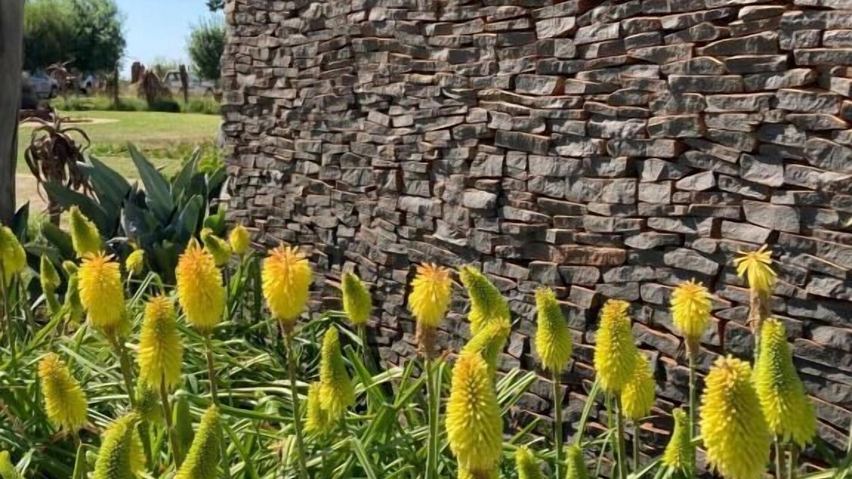 Metsimaholo House | The Vaal Guesthouse