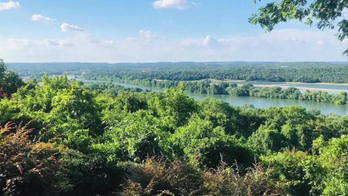 Salado House | The View