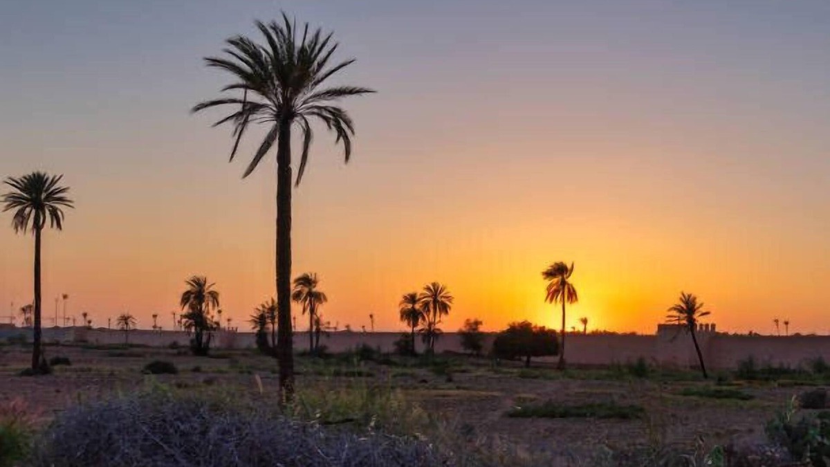Zaouia Sidi Abdallah Ben Sassi Villa | The Villa of Peace.