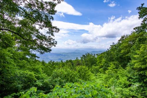 Sevierville House | The Vision Mtn View Hot Tub Wood Fireplace