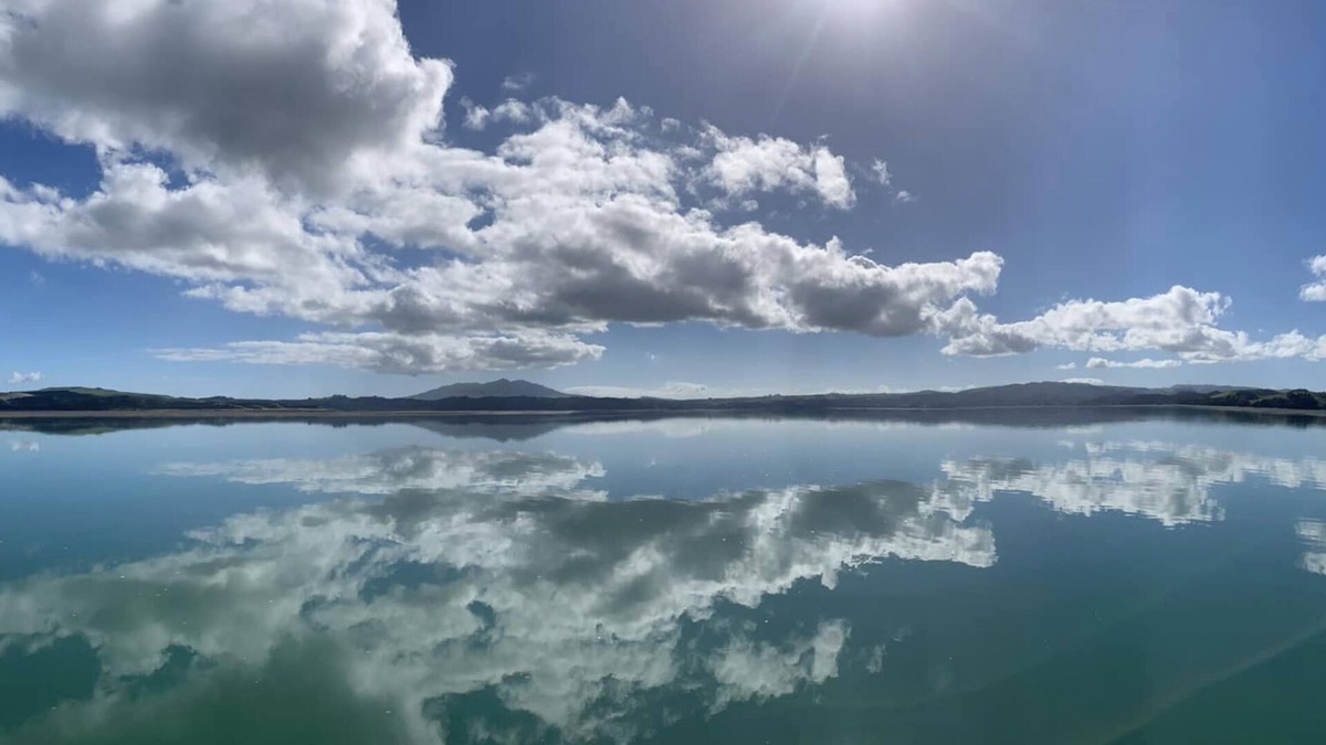 Te Mata Cabin | 'The Wee Crib'. Views to the water and pet friendly!n