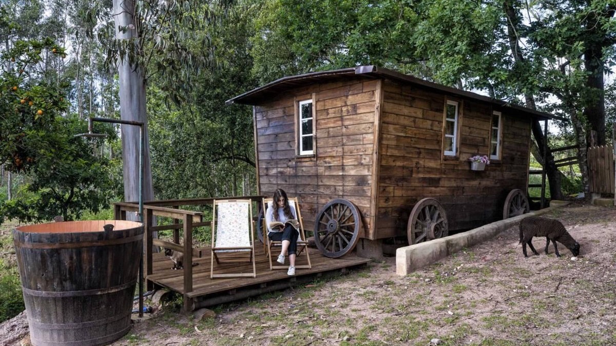 Albergaria-a-Velha Other | The Western Wagon