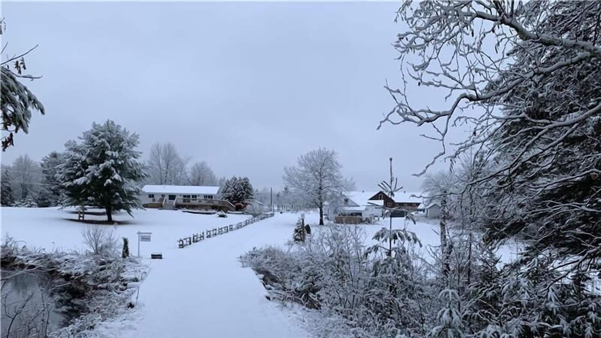 Lachute Ski Chalet | The White Hare / Le Lièvre Blanc